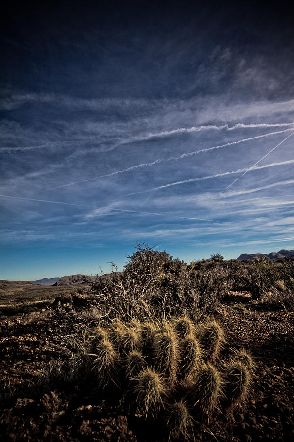 Desert Photograph - So Lonesome by Merrick Imagery