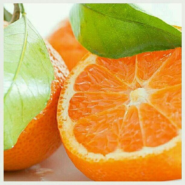 Fruit Photograph - So Sweet! #orange #fruit #jj_forum_0378 by Mary Carter