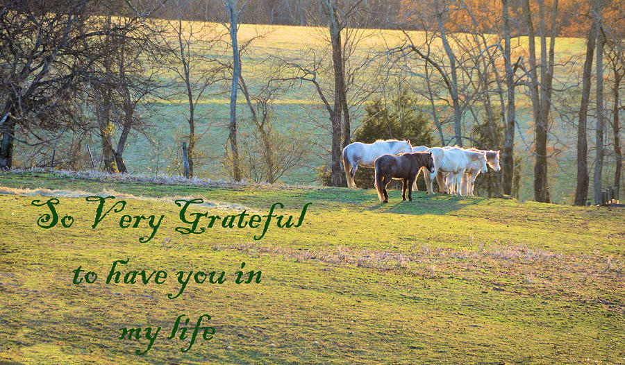 So Very Grateful To Have You In My Life Photograph by Jan Amiss Photography