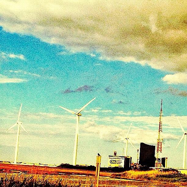 Windmills Photograph - So West Coast. #windmills by Rachel Fox Burson