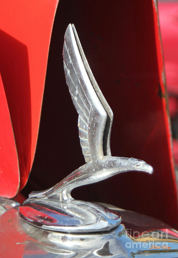 Soaring Eagle Hood Ornament Photograph by Dodie Ulery