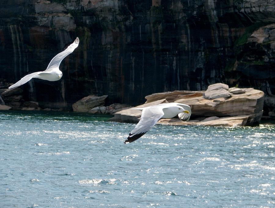 Soaring Pictured Rocks Photograph by Keith Stokes