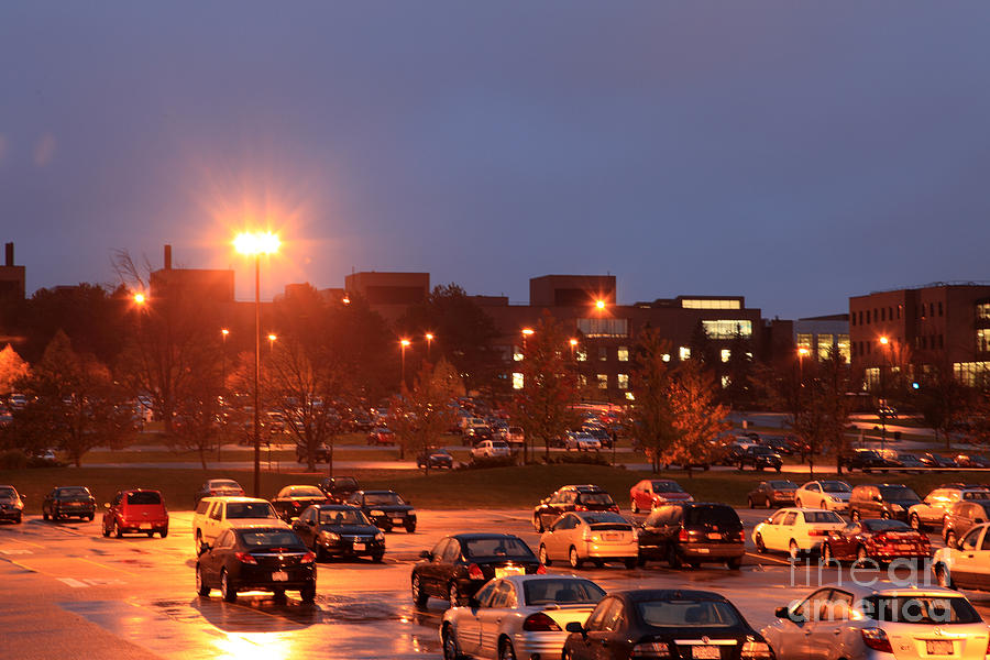 Sodium Vapor Lights On College Campus Photograph by Ted Kinsman