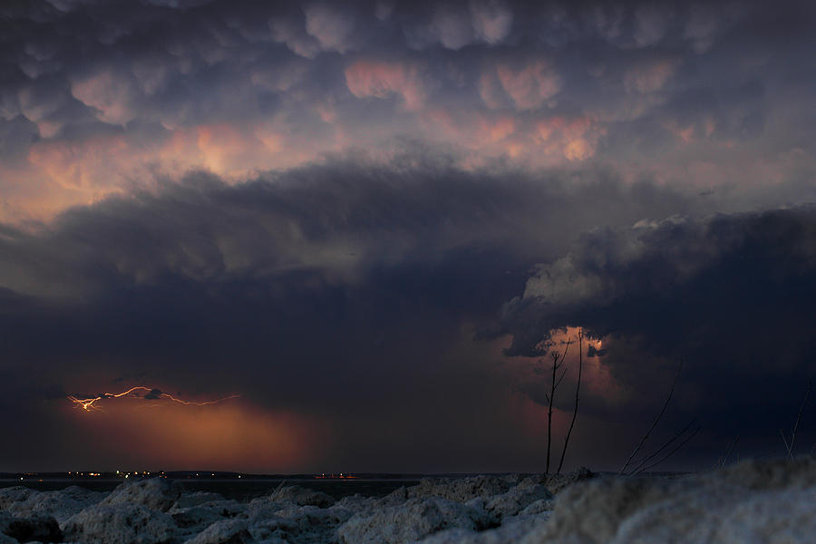 Soft and sharp Photograph by Loren Rye - Fine Art America