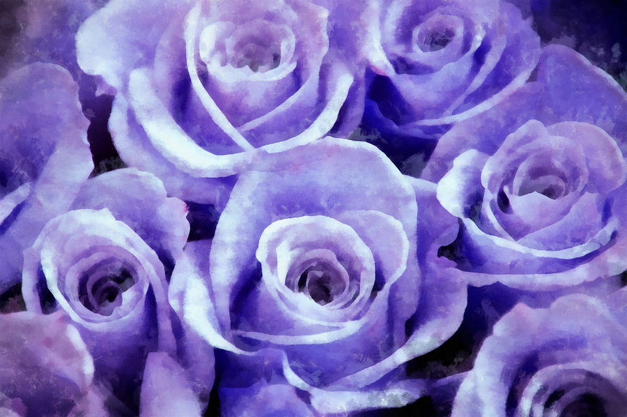 Rose Photograph - Soft Lavender Roses by Angelina Tamez