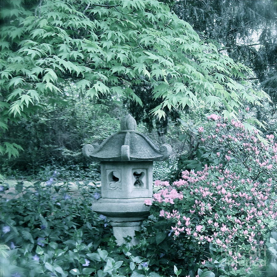 Soft Peaceful Garden  Photograph by Nancy Patterson