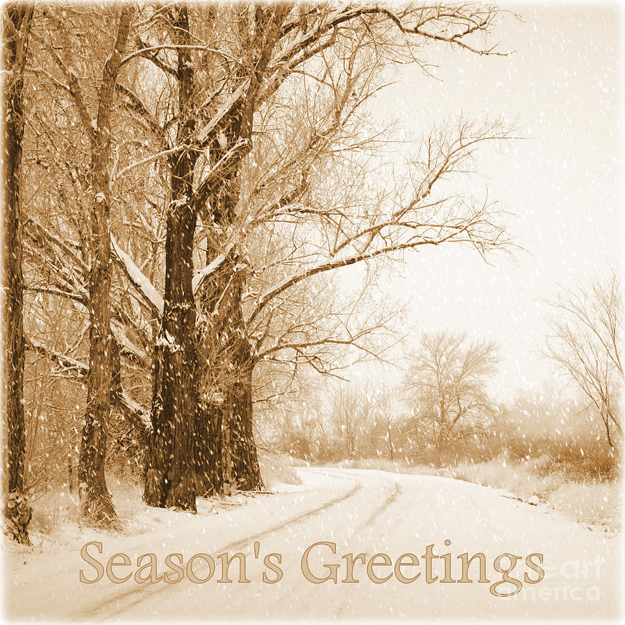 Soft Sepia Seasons Greetings Photograph by Carol Groenen