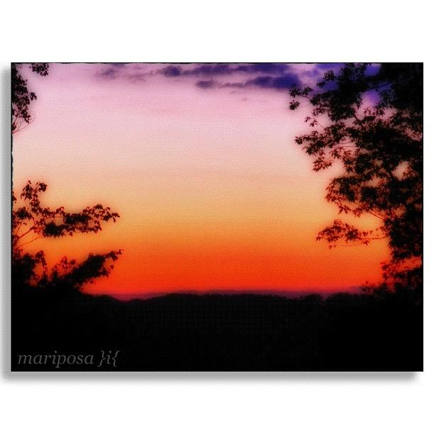 Nature Photograph - Soft Sunset in the Smokies by Mari Posa