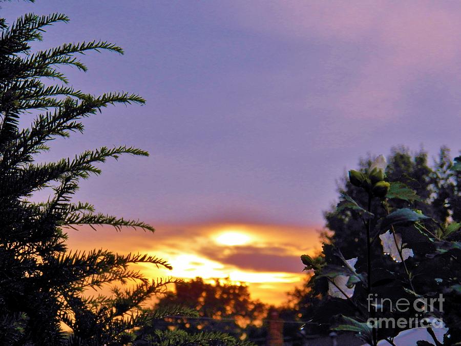 Soft Sunset Photograph by Judy Via-Wolff