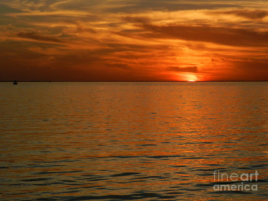 Soft Sunset Photograph by Tammy Chesney
