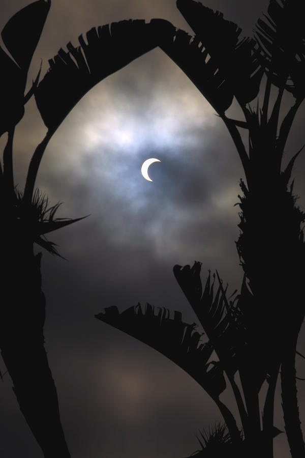 Amazing Photograph - Solar Eclipse II by Tomas del Amo Amazing Photograph - Solar Eclipse II by Tomas del Amo