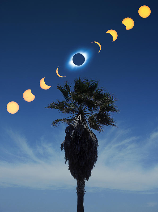 Space Photograph - Solar Eclipse Sequence by Detlev Van Ravenswaay