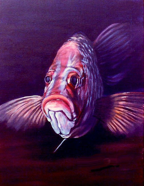 Soldier Fish Painting by Karen Chappell - Fine Art America