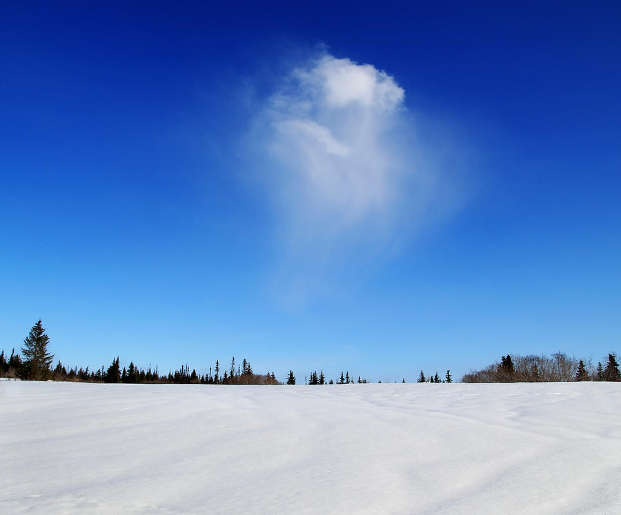 Solitary Cloud Photograph by Michele Cornelius