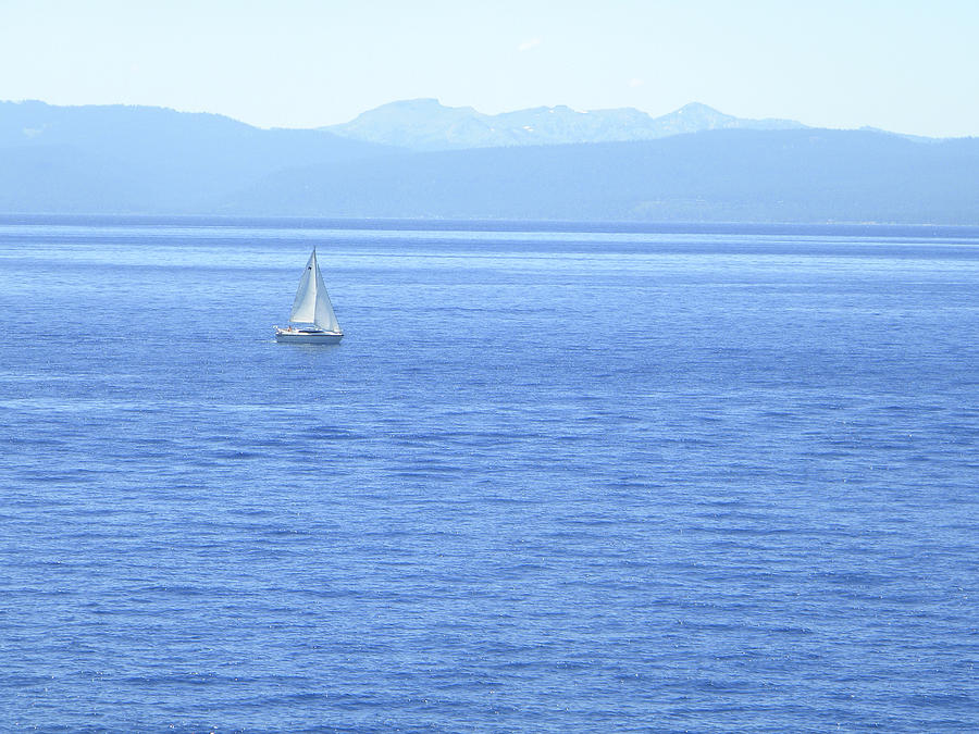 Solitary Sailing on Lake Tahoe Photograph by Frank Wilson