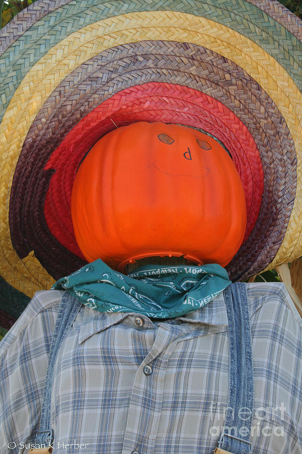 Sombrero Scarecrow Photograph by Susan Herber