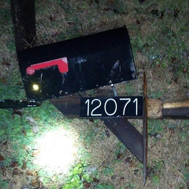Some Bitch Hit My Mailbox Friday Photograph by Stuart Henley
