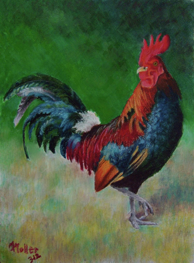 Some Kinda Rooster Pastel by Marcus Moller