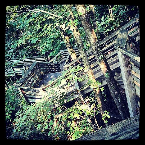 Westvirginia Photograph - Some Of The Stairs! #newrivergorge by Jenni Dloniak