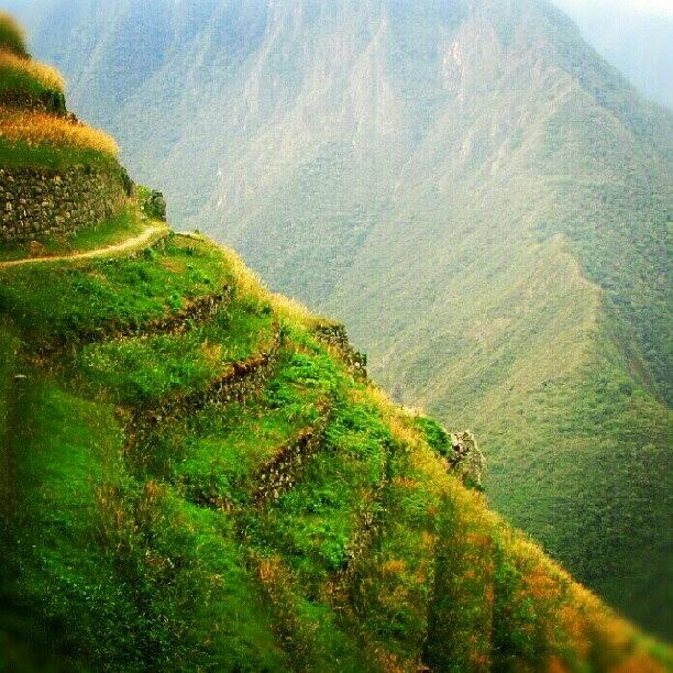 Mountain Photograph - Some #terrasses Near #machupicchu #peru by Yannick Menard