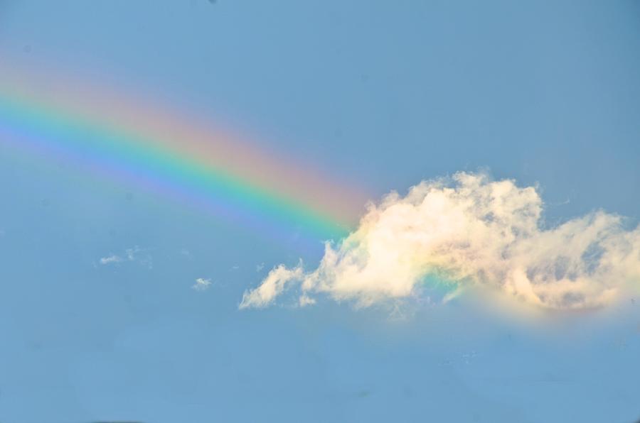Somewhere Over the Rainbow Photograph by Catherine Murton