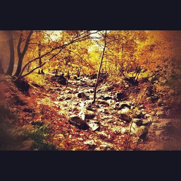 Fall Photograph - Sonbahar #autumn #colormania by Murat Karakas