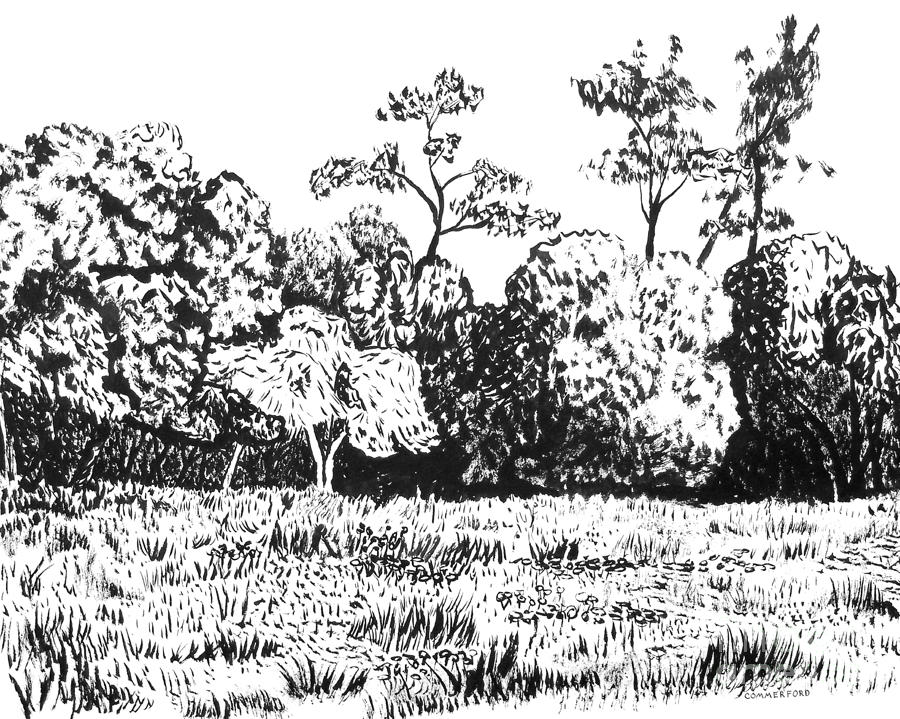 Sonoma County Drawing by Brian  Commerford