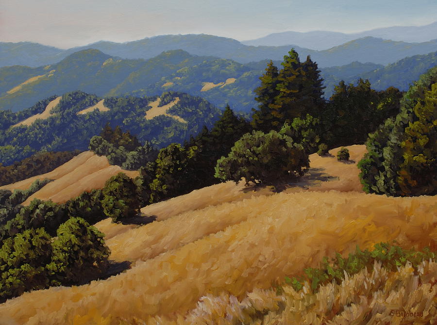 sonoma landscape