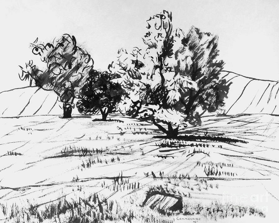 Sonoma Mountain Drawing by Brian  Commerford