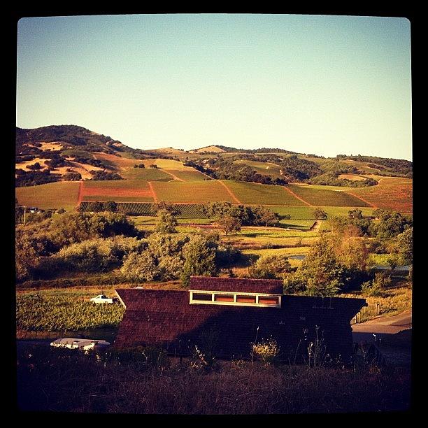 Mountain Photograph - Sonoma Valley Mountains by Crystal Peterson