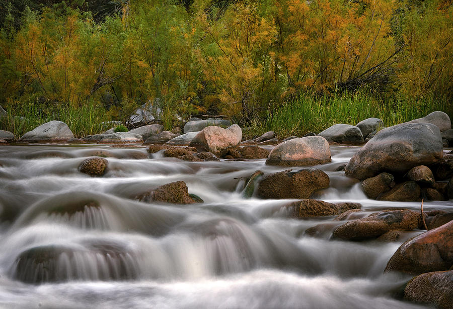Fall Photograph - Soothing Waters of the Salt River by Dave Dilli
