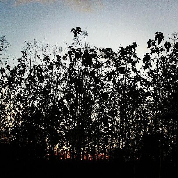 Sunset Photograph - Sore Hari.. #instagood #nscompany by Renaldy Mario Ranti