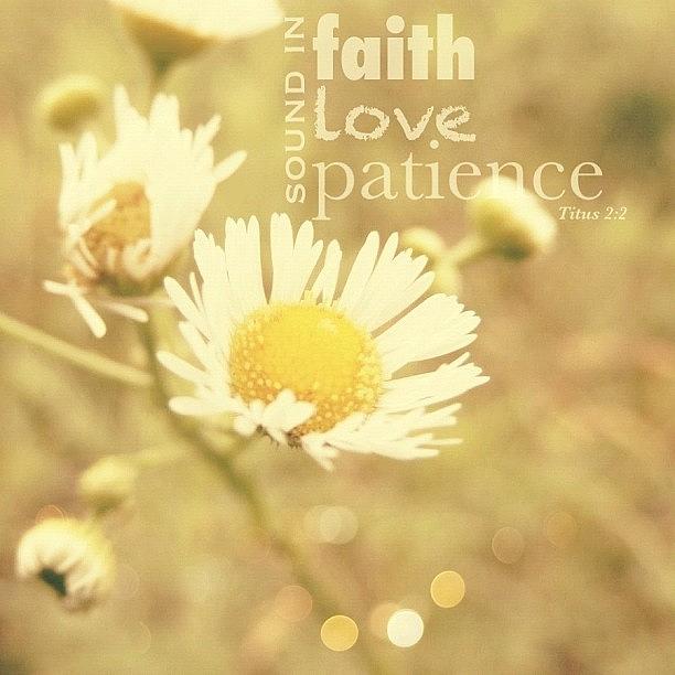 Nature Photograph - ...sound In Faith, In Love, In by Traci Beeson