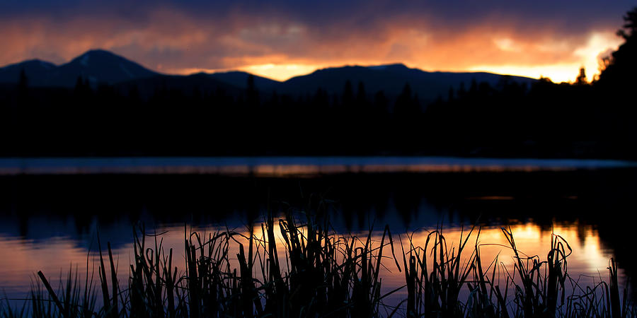 Sounds of Silence Photograph by Jim Garrison
