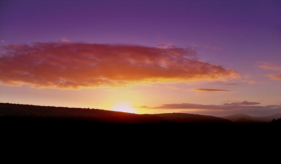 South African Sunset Photograph by Lynn Bolt