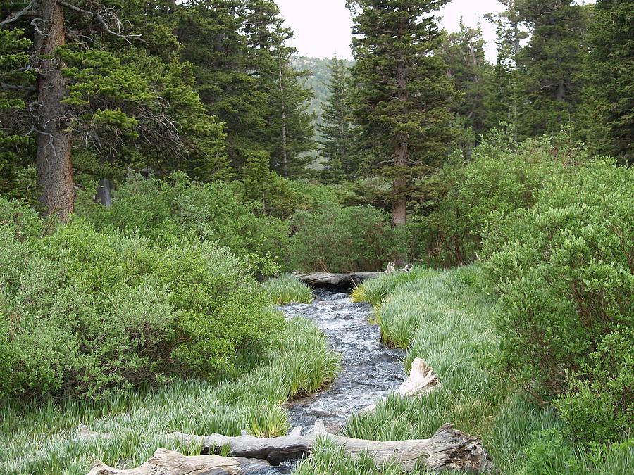 Saint Mary's Glacier Photograph - South Boulder Creek by Bill Kennedy Saint Mary's Glacier Photograph - South Boulder Creek by Bill Kennedy