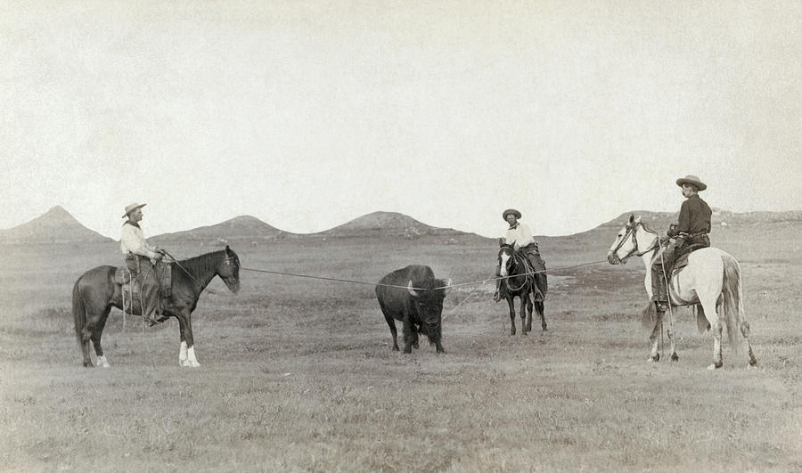 South Dakota: Cowboys Photograph by Granger