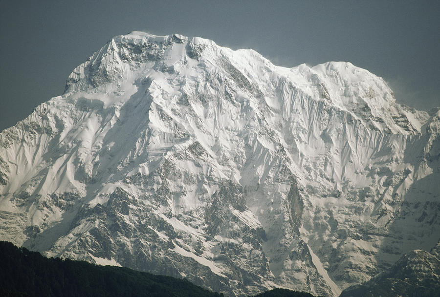 South Face Of Annapurna South Photograph by Gordon Wiltsie