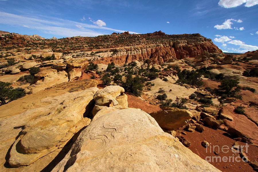 Capitol Reef National Park Photograph - South Fruita Overlook by Adam Jewell