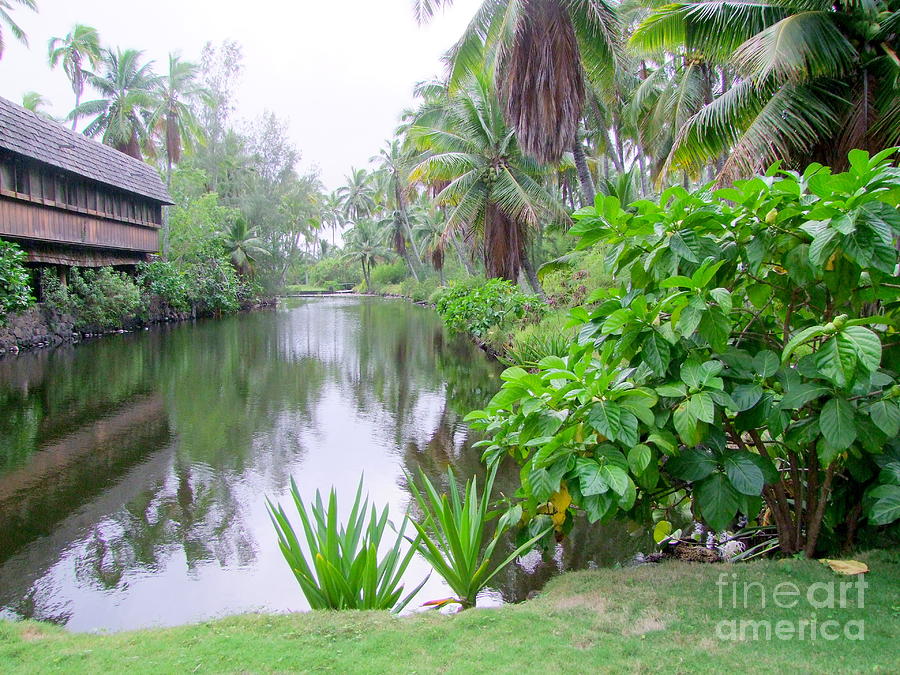 South Wing Lagoon - Coco Palms Series Photograph by Mary Deal