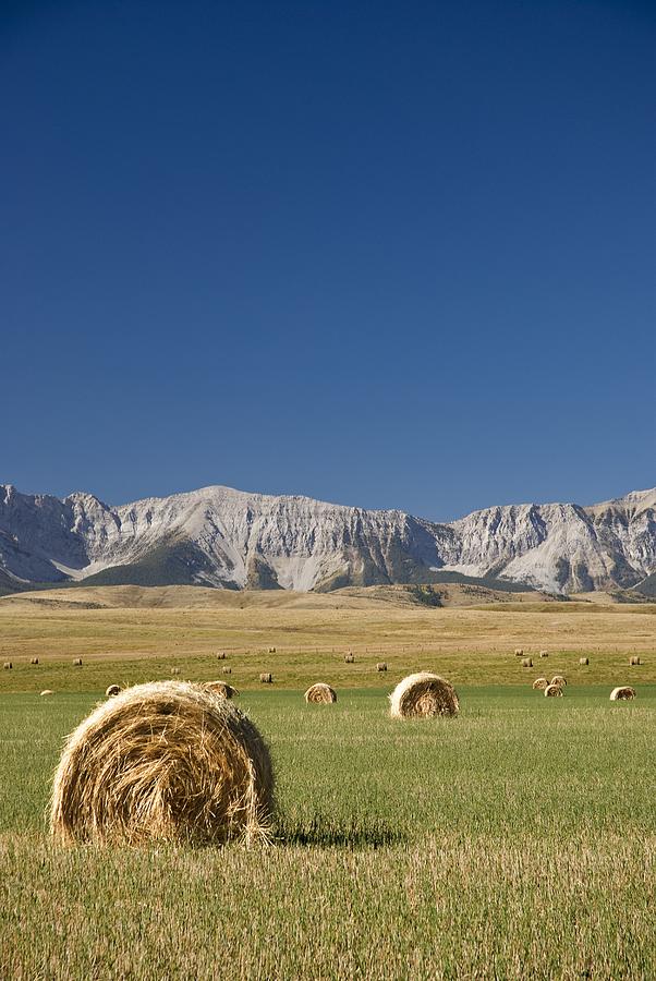 Farm Photograph - Southern Alberta, Canada Hay Bales by Philippe Widling