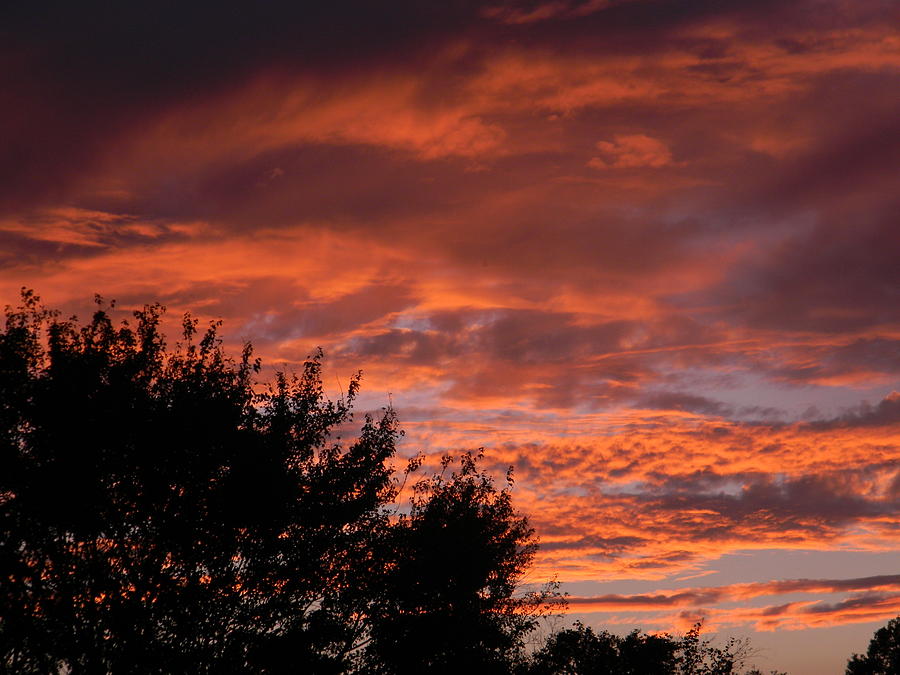 Southern Sunset Photograph by Jeff Walker - Fine Art America