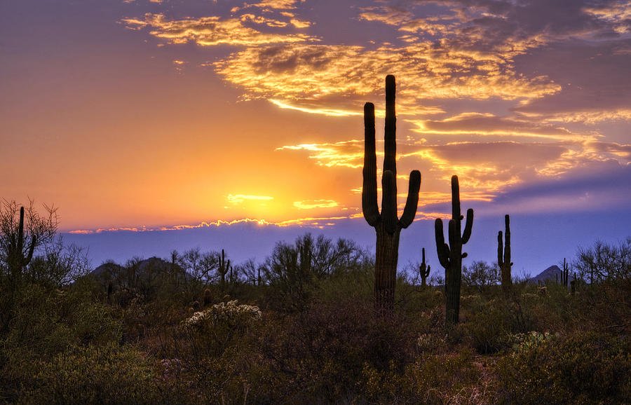 Sunset Photograph - Southwest Desert Sunset by Saija Lehtonen