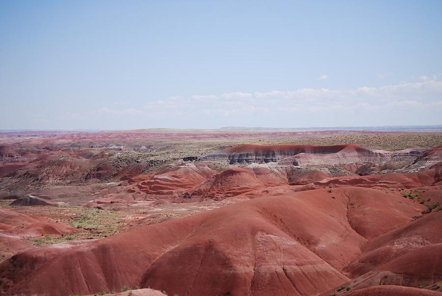 Southwest Painted Desert Photograph by Judy Hall-Folde