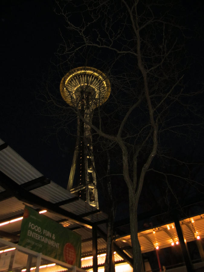 Space Needle Entertainment Photograph by Kym Backland