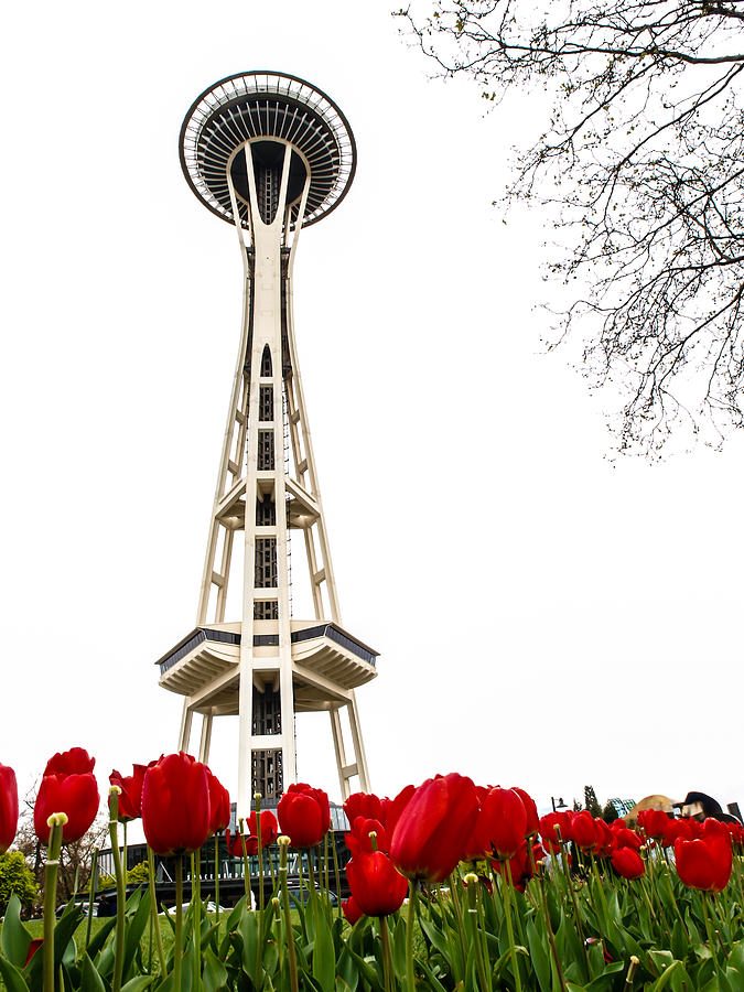 Space Needle in Bloom Photograph by Jim DeLillo