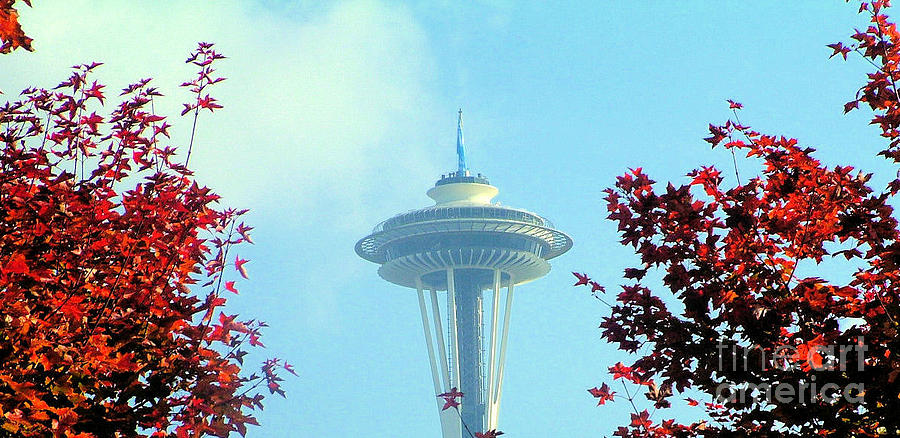 Space Needle in the Fall Photograph by Nick Gustafson