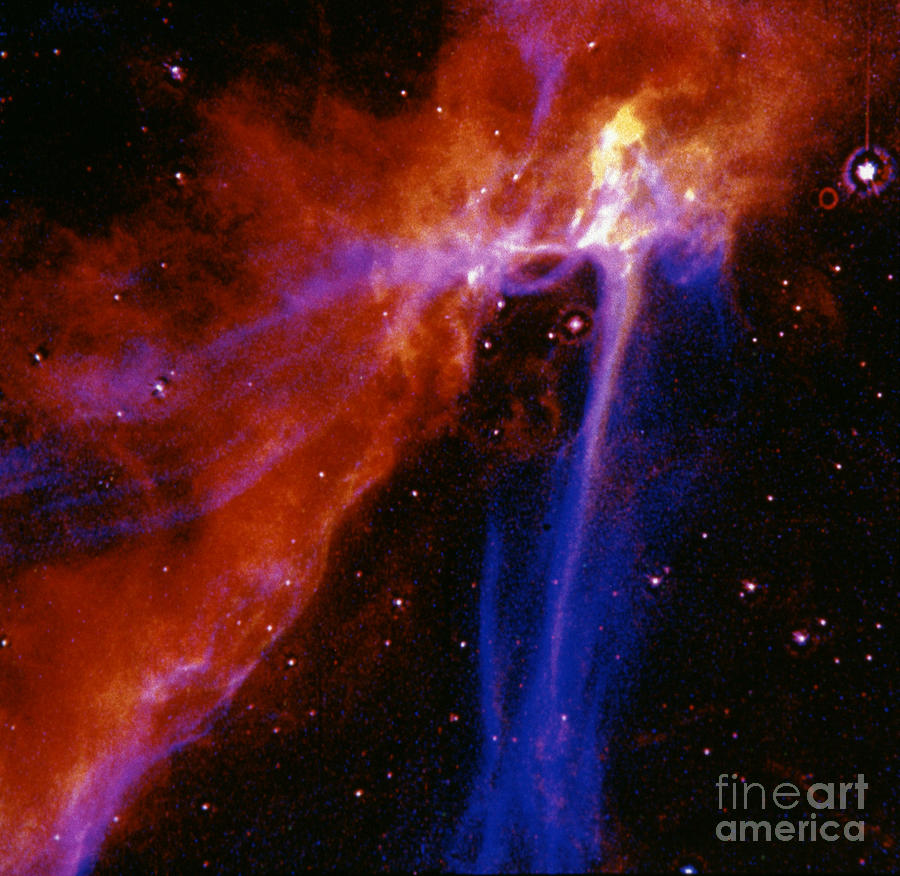 Space: Supernova Photograph by Granger