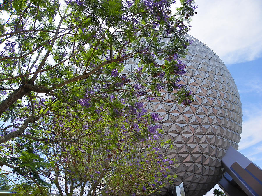 Spaceship Earth  EPCOT Center Photograph by Judy Wanamaker