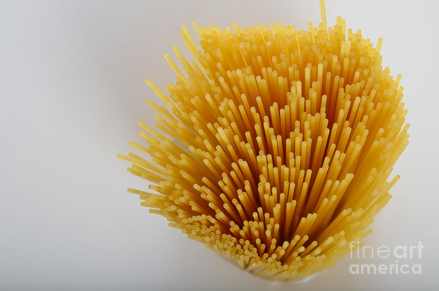 Spaghetti Photograph by Photo Researchers, Inc.